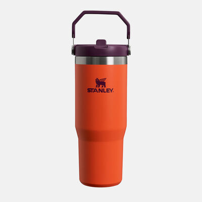 THE ICEFLOW FLIP STRAW TUMBLER | 0.89 L כוס עם קשית
